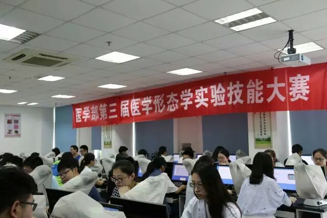 mmexport1496407263431.jpg